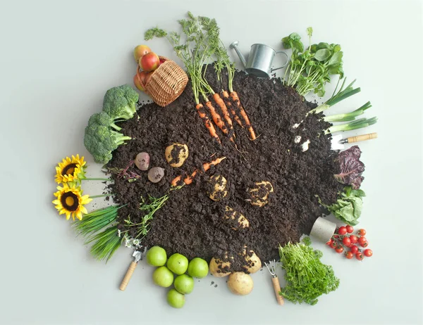 Fruits and vegetables growing in circular garden compost including carrots, potatoes and lettuce