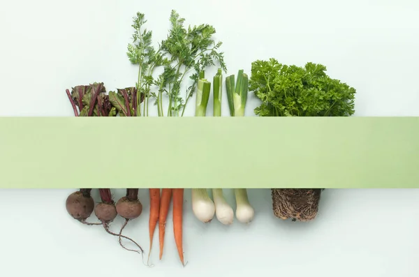 コピースペース付きの紙カードの下の野菜の根とハーブ — ストック写真