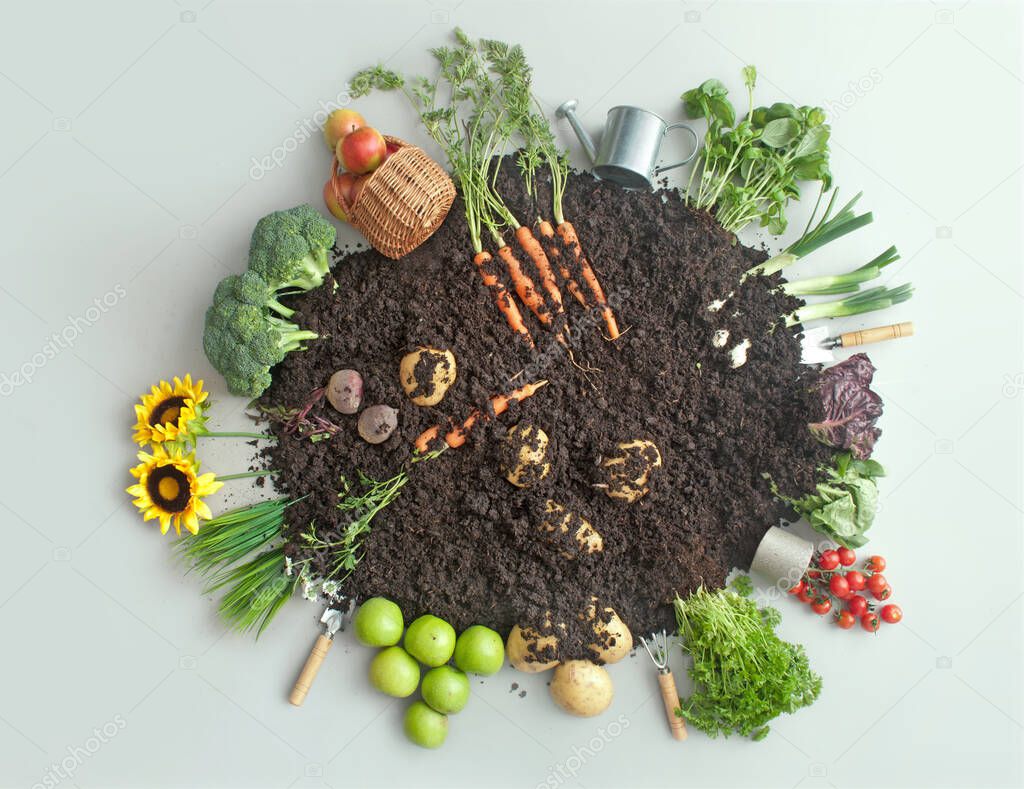 Fruits and vegetables growing in circular garden compost including carrots, potatoes and lettuce