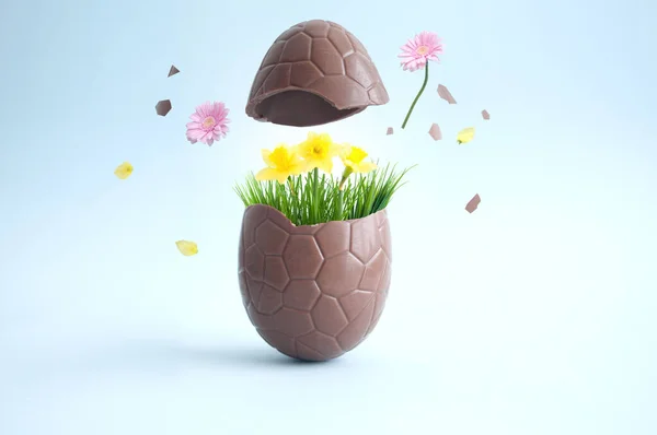 Chocolate Easter Egg Cracking Open Explosion Spring Flowers — Stock Photo, Image