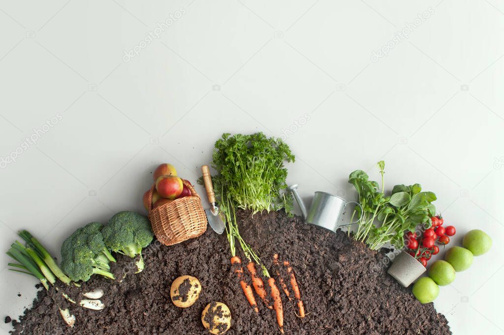 Fruits and vegetables growing in circular garden compost including carrots, potatoes 