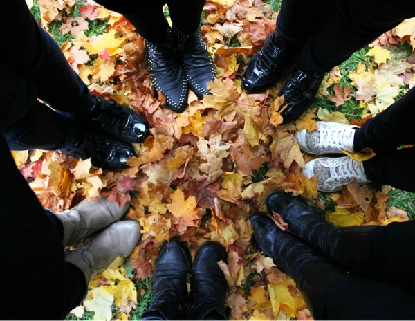 Debout en cercle dans les feuilles tombées — Photo