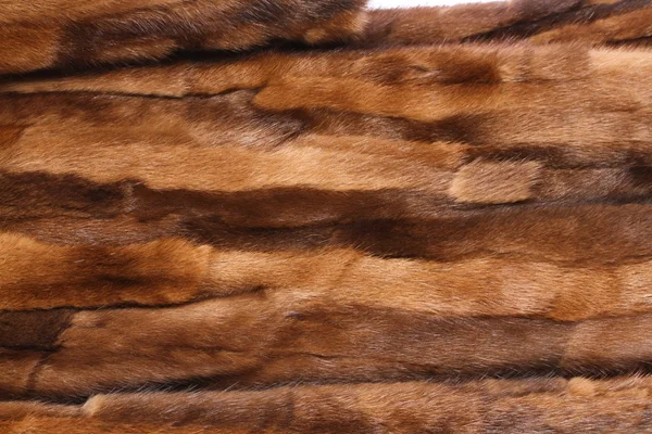 赤い毛皮のテクスチャです。バック グラウンド — ストック写真