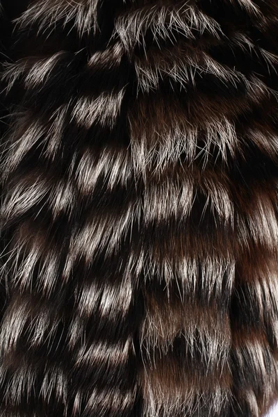 Close up of black and white fur background — Stock Photo, Image