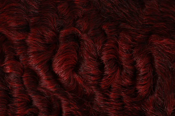 Fondo de textura karakul rojo —  Fotos de Stock