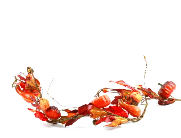 カボチャ、葉と白い背景の上の小さなカボチャ — ストック写真