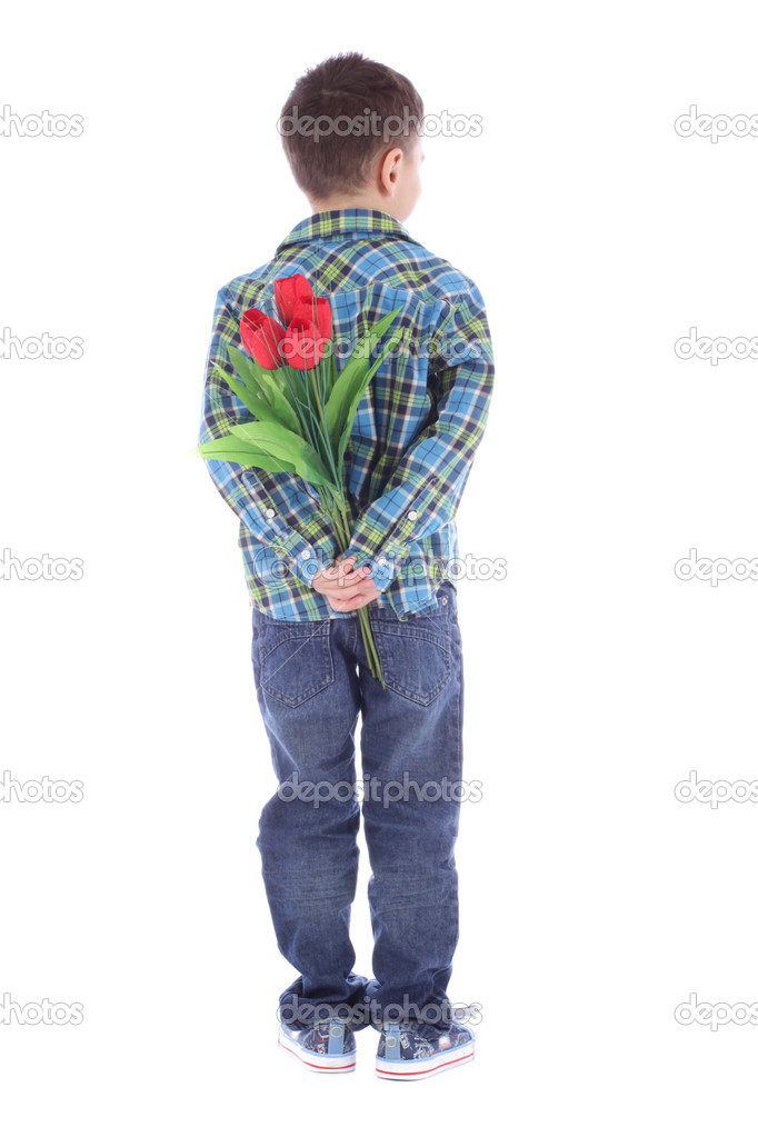 小男孩躲后面自己孤立在白色背景上的红色郁金香花