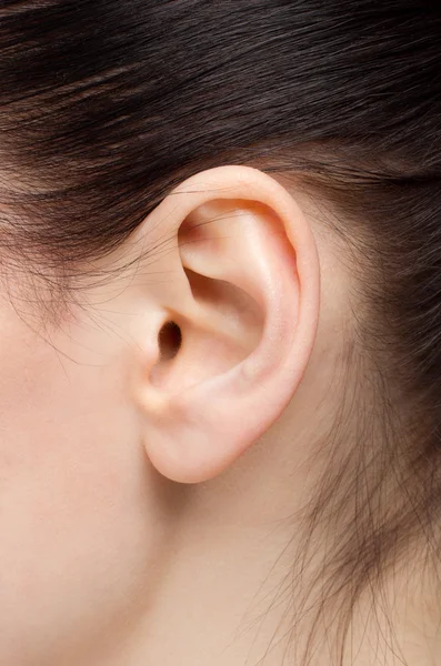 Beautiful human ear — Stock Photo, Image