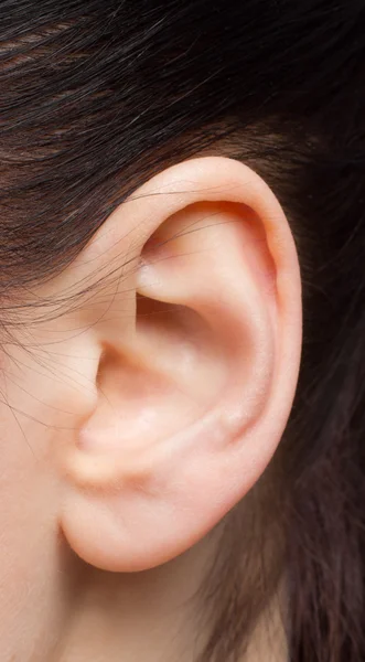 Belo ouvido humano — Fotografia de Stock