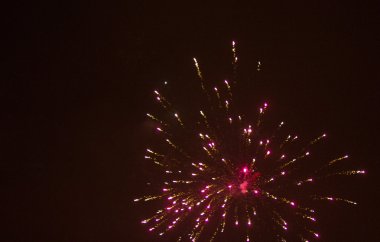 fuegos artificiales en el fondo de cielo negro