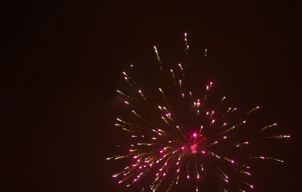 Focuri de artificii pe fundal cer negru — Fotografie, imagine de stoc