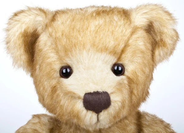 Urso de peluche — Fotografia de Stock