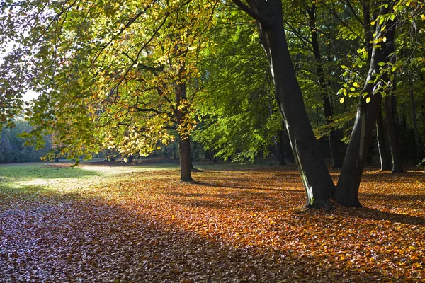 Tiergarten v Berlíně — Stock fotografie