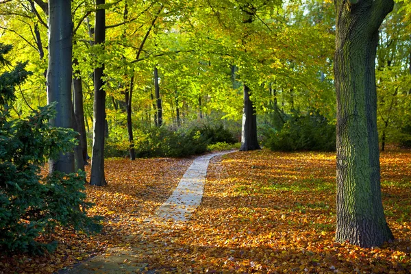 Tiergarten in Berlin — Stockfoto