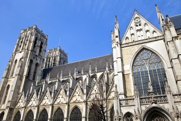 Brüksel 'deki St. Michael ve St. Gudula Katedrali — Stok fotoğraf