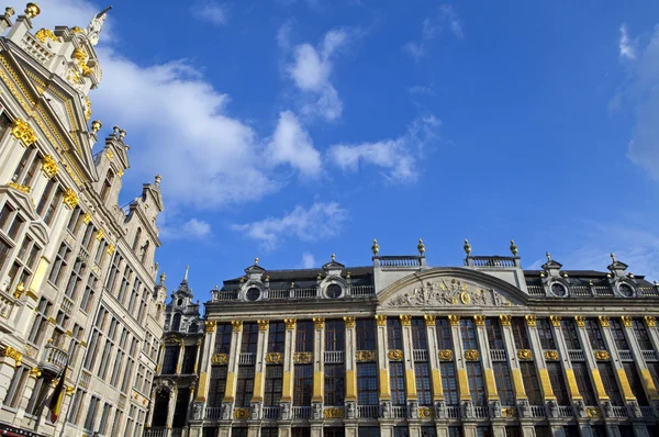 Historische Gebäude am prachtvollen Platz in Brüssel — Stockfoto