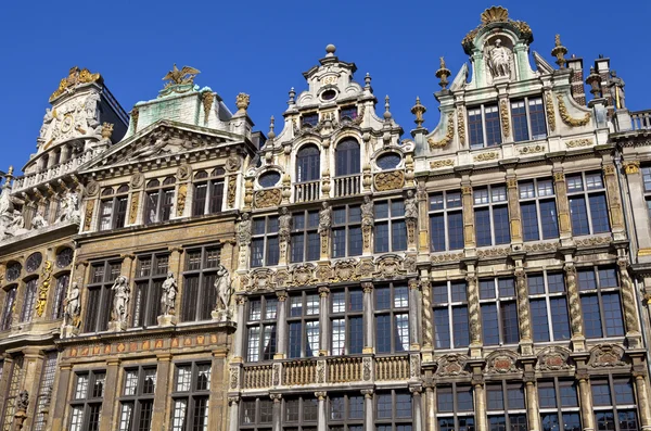 Guildhalls in the Grand Place in Brussels. — Stock Photo, Image