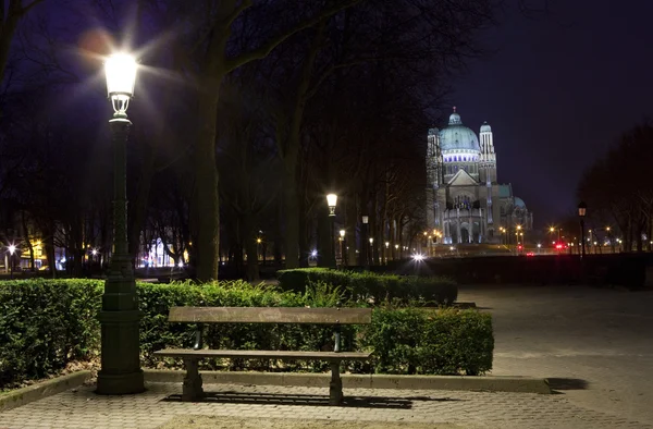 Θέα στη Βασιλική της ιερής καρδιάς στις Βρυξέλλες από το parc e — Φωτογραφία Αρχείου