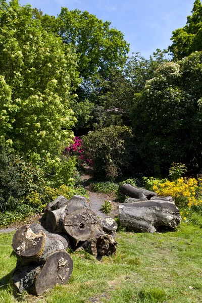 Greenwich Park in London — Stockfoto