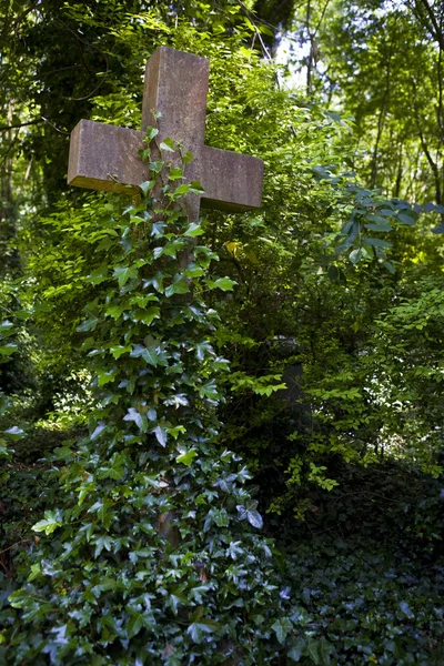 Highgate Cemetery — Stock Photo, Image