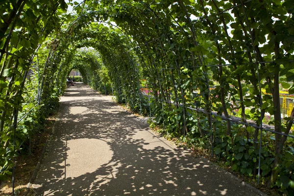 Kensington Gardens em Londres — Fotografia de Stock