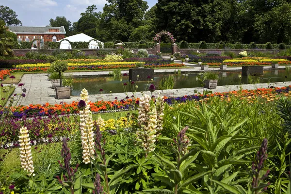 Den sjunkna trädgården i kensington gardens — Stockfoto