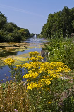St James'ın Park Londra