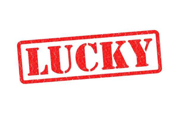 LUCKY — Stock Photo, Image