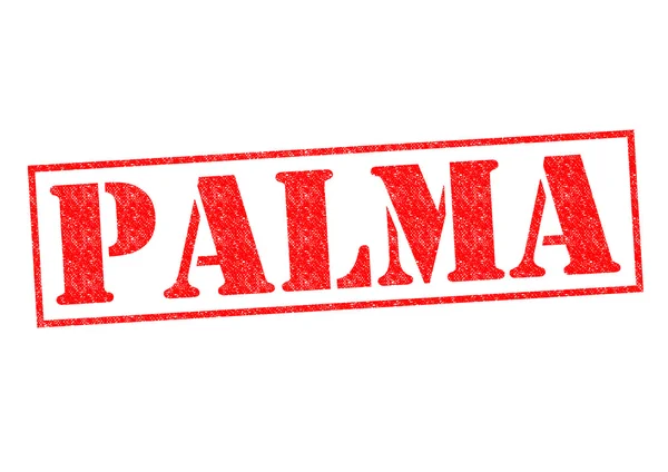 Palma — Foto de Stock