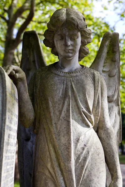 Cemitério Angel — Fotografia de Stock