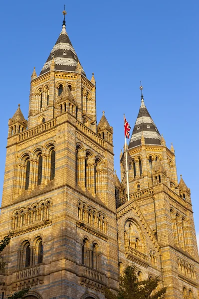 Londra 'daki Doğa Tarihi Müzesi — Stok fotoğraf