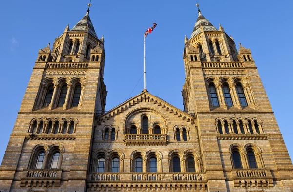 Museo de Historia Natural de Londres — Foto de Stock