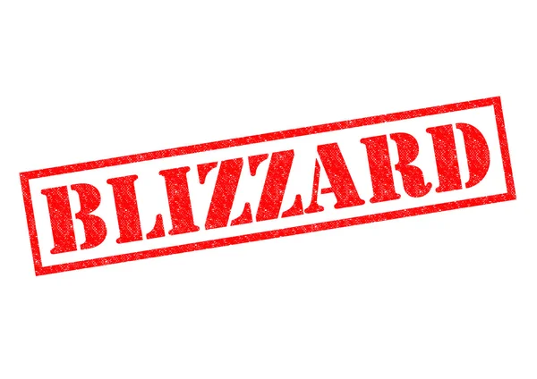 Blizzard — Stock fotografie