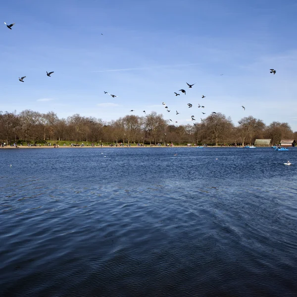 The Serpentine in Hyde Park — Stock Photo, Image