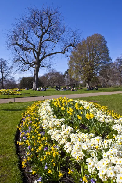 Hyde park в Лондоні — стокове фото