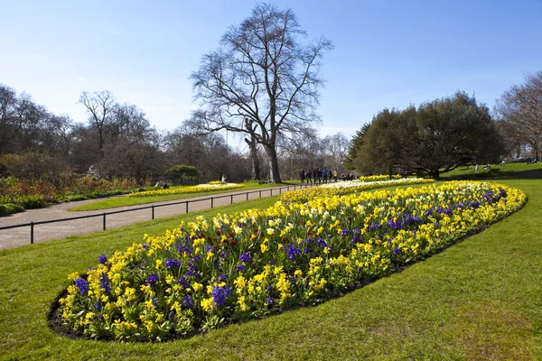 Hyde Park em Londres — Fotografia de Stock