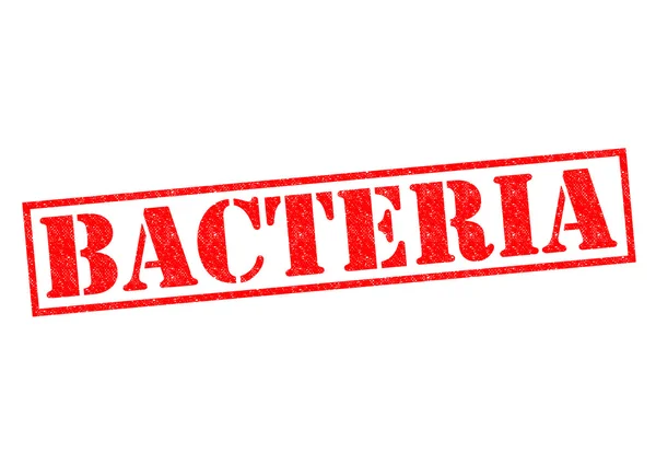 Bacterias — Foto de Stock