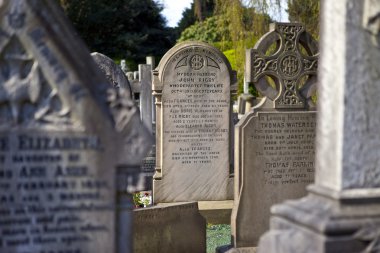 Eleanor rigby mezar Liverpool