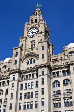 royal karaciğer Liverpool bölgesinde Bina