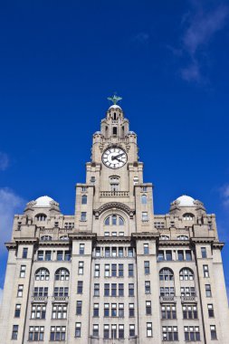 royal karaciğer Liverpool bölgesinde Bina