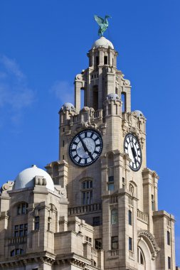 royal karaciğer Liverpool bölgesinde Bina