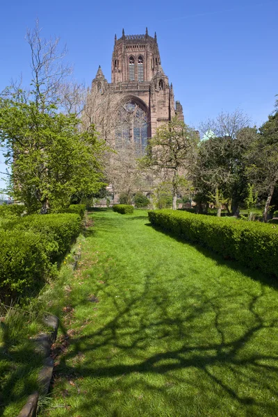 Liverpool Anglican Cathedral — Stock Photo, Image