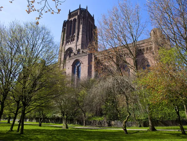 Liverpool Anglican Cathedral — Stock Photo, Image