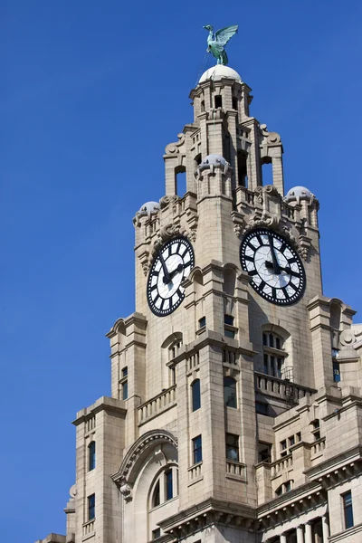 Bâtiment Royal Liver à Liverpool — Photo