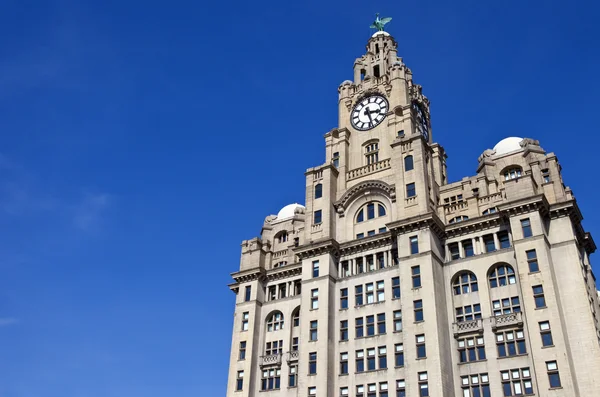 Koninklijke lever gebouw in liverpool — Stockfoto