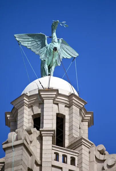 Liver Bird Perched on the Royal Liver Building — Stock Photo, Image