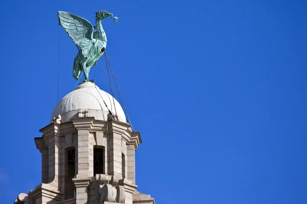 Liver Bird Perched on the Royal Liver Building — Stock Photo, Image