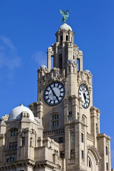 Edifício Real do Fígado em Liverpool — Fotografia de Stock