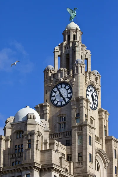 Edifício Real do Fígado em Liverpool — Fotografia de Stock