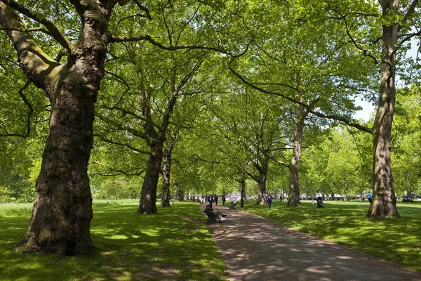 Green Park in London — Stock Photo, Image